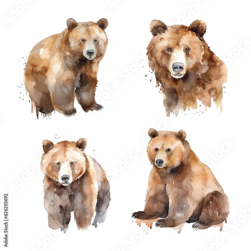  Bear watercolor paint collection