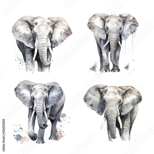 Elephant watercolor paint collection