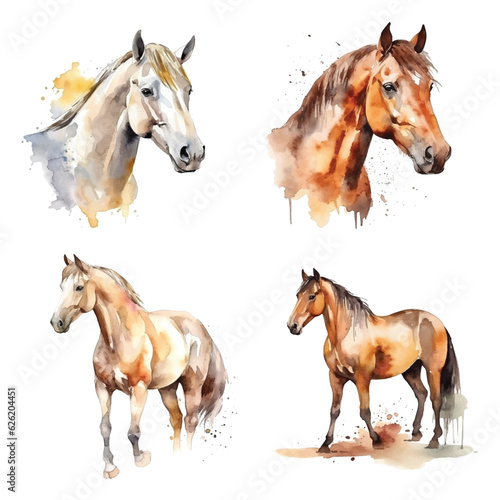 Horse watercolor paint collection
