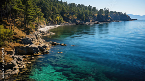 A beautiful coastal view featuring a turquoise sea  bordered by a dense forest of lush  green pines.
