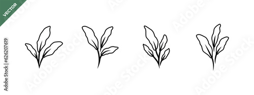 4 Vector plants with leaves, bundle of botanical graphic elements, vector illustrations