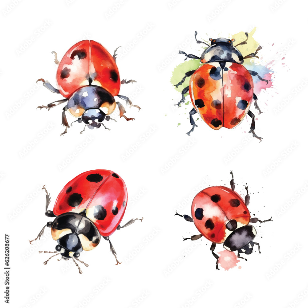 Fototapeta premium Ladybug watercolor paint collection