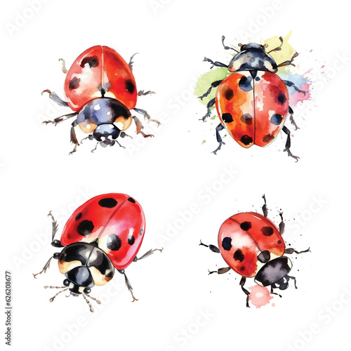 Ladybug watercolor paint collection © Florin