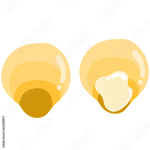 hand drawn vector illustration,isolated mussel on white background.	