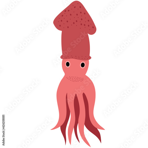 hand drawn vector illustration,isolated squid on white background.	