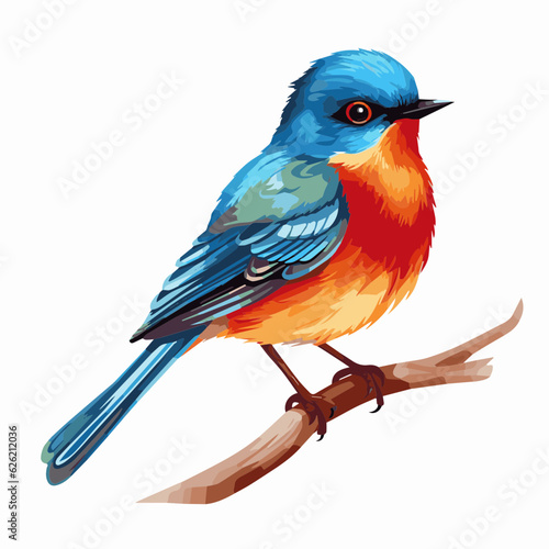 bird cartoon clipart vector white background