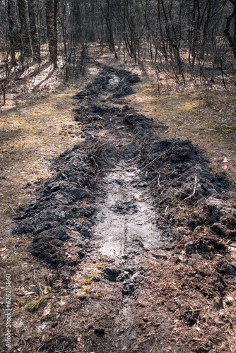 Obraz na plátně Strip of broken ground