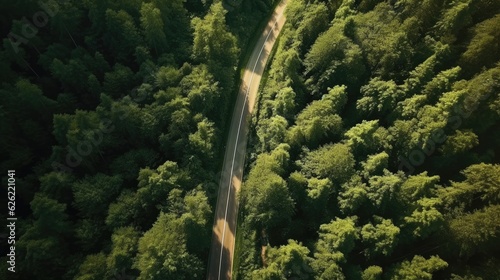 Aerial view of the road passing through the forest