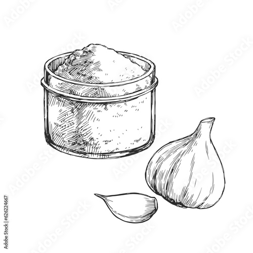 Vector vintage hand-drawn illustration of fresh and dried garlic in engraving style. Sketch of garlic bulb and powder isolated on white.