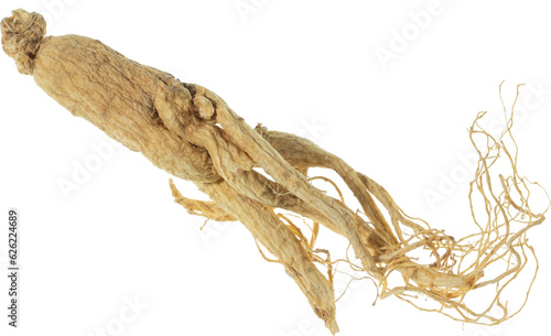 ginseng cut out on transparent background.