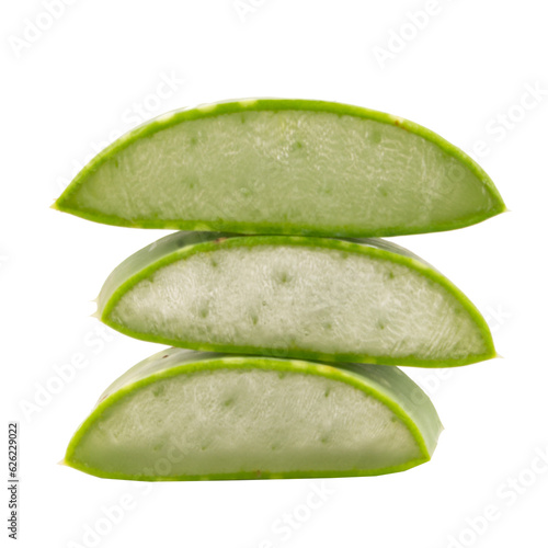 aloe vera isolated on white background