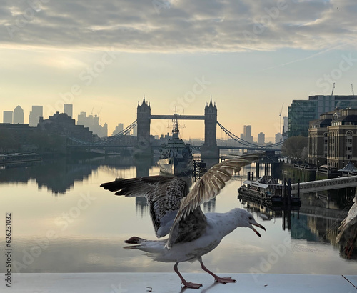 Tower bridge and Thames at dawn 