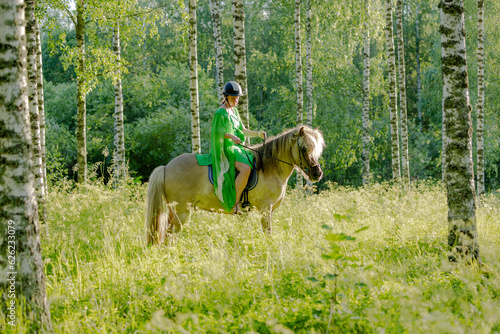 Barefoot woman rider on Icelandic horse in sunny Finnish brirch  forest during sunset. Fairytale like feeling. Rider is wearing helmet. © AnttiJussi