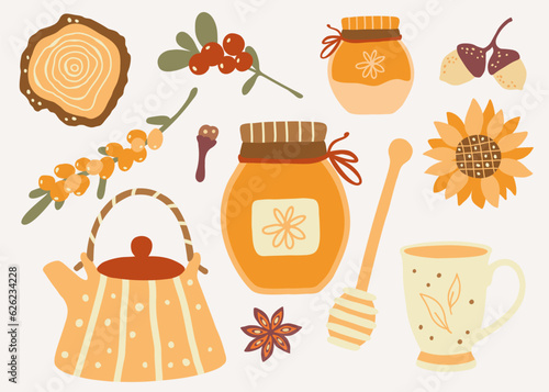 Honey, tea pot, cup, sunflower and berries. Autumn mood clipart. Set of vector illustrations.