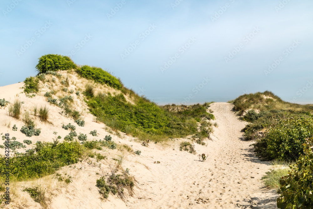 Obraz premium the dunes of Flanders, in the north of France
