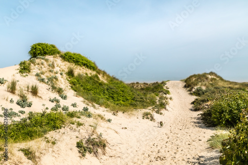 the dunes of Flanders, in the north of France