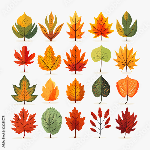 A collection of autumn leaves on a white background. Vector leaves isolated