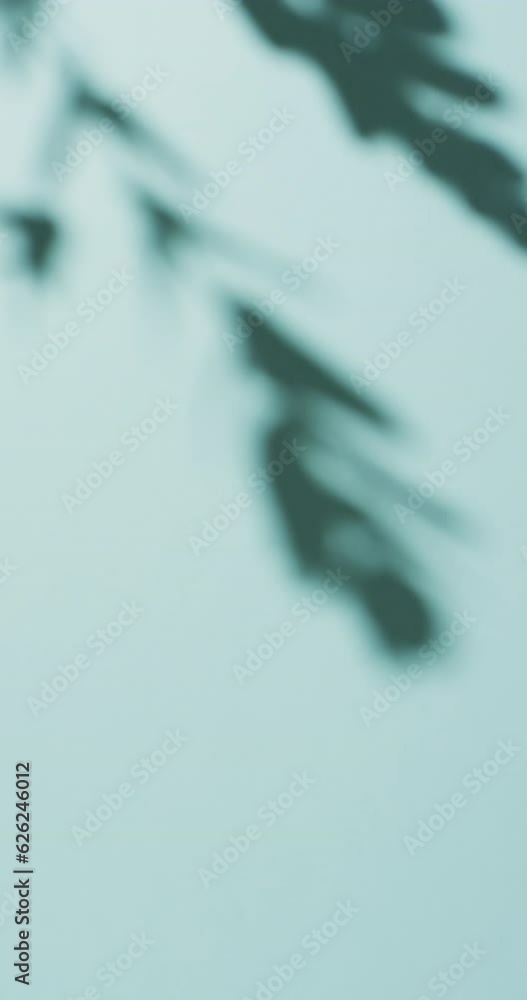 Vertical video of shadow of twigs with leaves moving with copy space over blue background Vertical video of shadow of twigs with leaves moving with copy space over blue background
