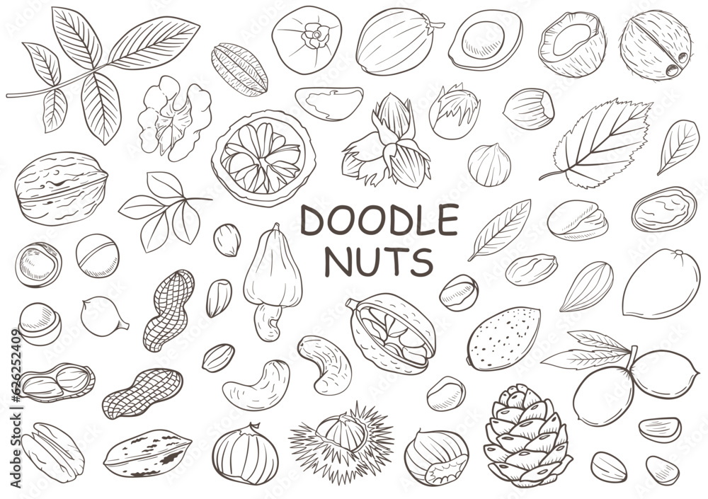 Set of hand drawn doodle nuts Set of hand drawn doodle nuts