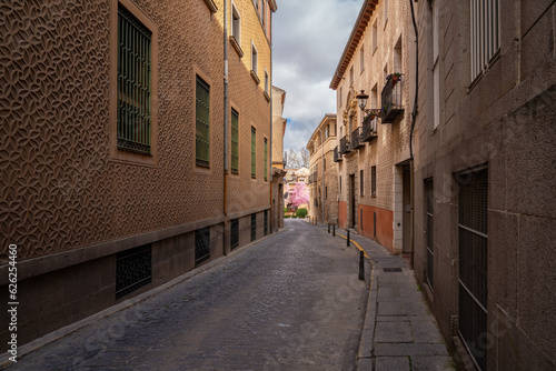 Street in Segovia Old Town - Segovia, Spain © diegograndi