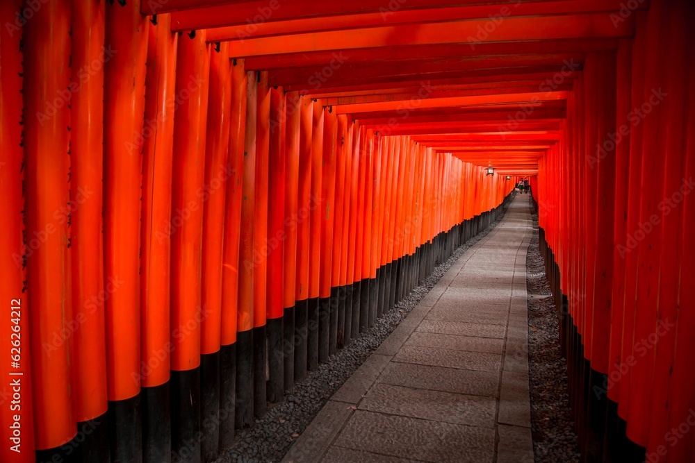 Fototapeta premium 京都 伏見稲荷神社 千本鳥居