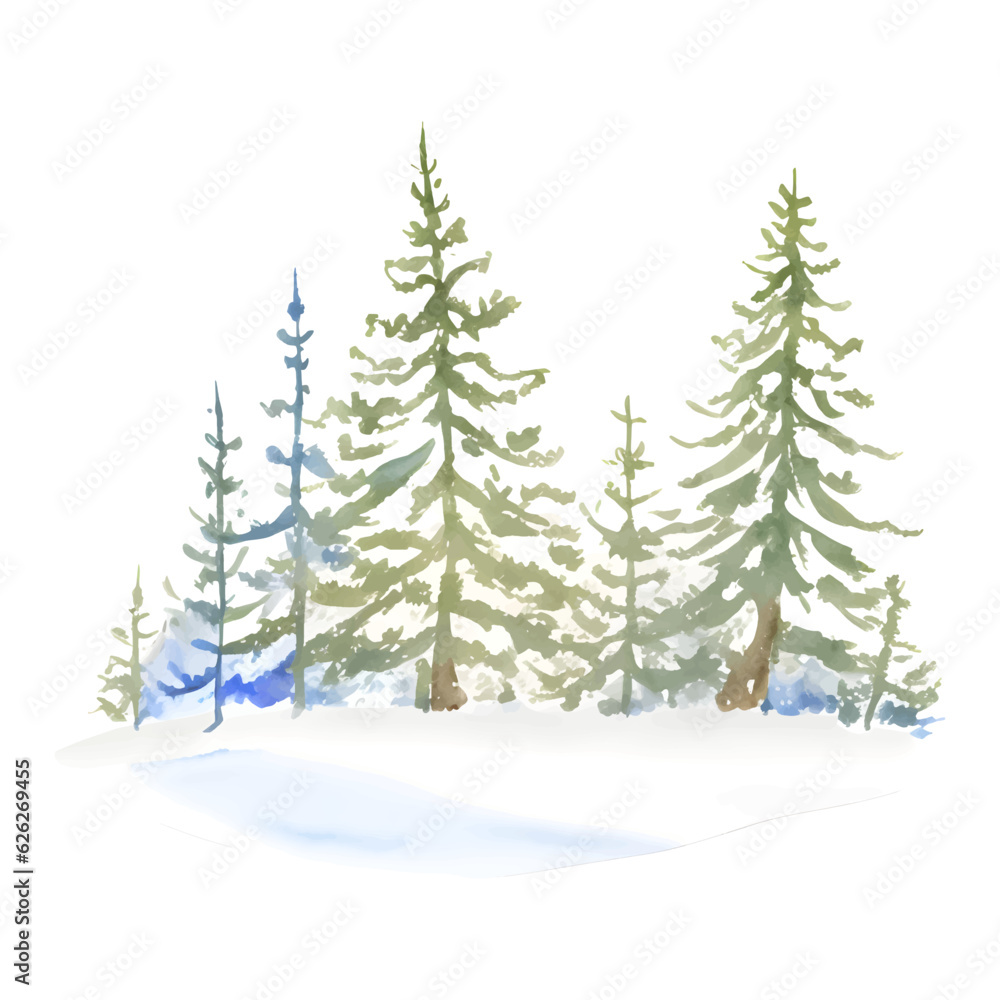 Watercolor winter forest illustration Christmas design, spruce. Nature, holiday background, conifer, snow, outdoor, snowy rural landscape. Fir or pine trees for winter