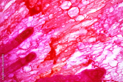 ink art pink flower