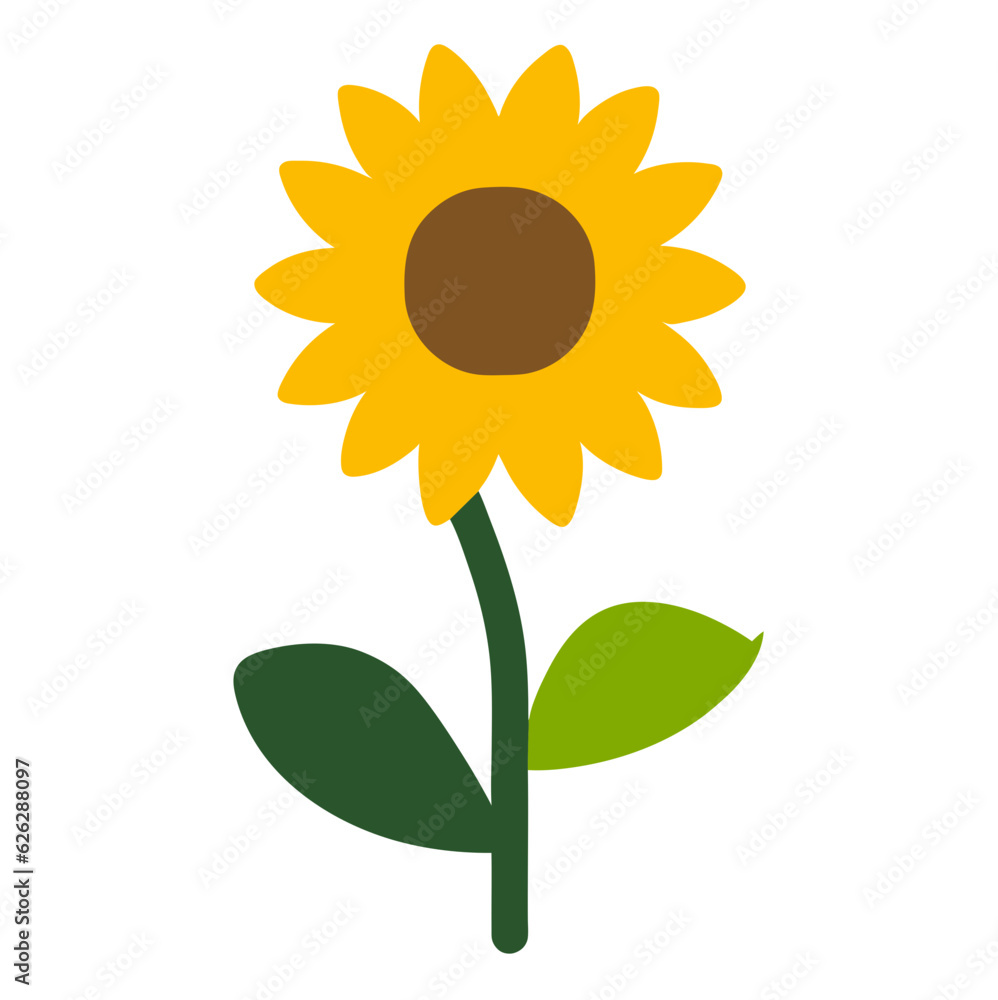 Obraz premium sunflower on white