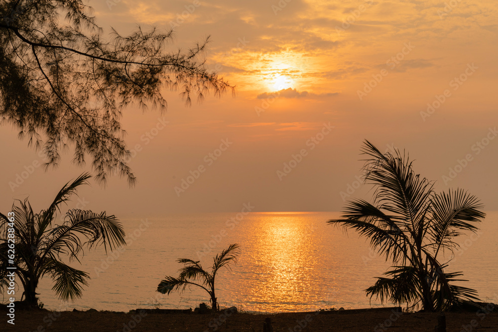 Sea sunset on the coast of Thailand. Palm contours and yellow sun