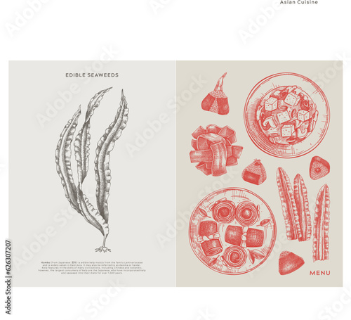 Asian food background. Kombu, laminaria, edible seaweeds, sea vegetable, kelp, healthy food sketches. Hand drawn seafood restaurant menu design template. Engraved vector illustrations in vintage style