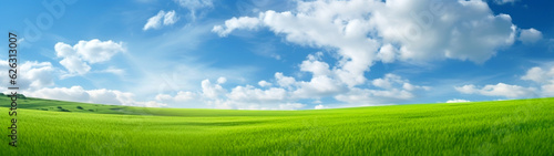 Banner with green grass field and blue sky background. Beautiful nature landscape. Generative AI