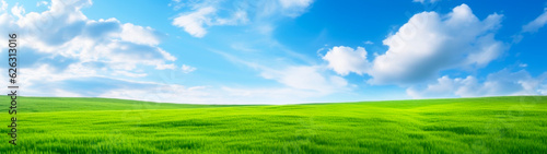 Banner with green grass field and blue sky background. Beautiful nature landscape. Generative AI