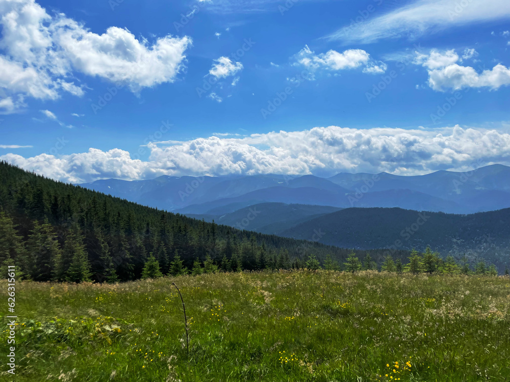 beautiful landscape in the mountains. coniferous forest, summer mountains, green grass. beautiful sky background. Carpathians, Ukraine, Europe. Beauty of nature.
