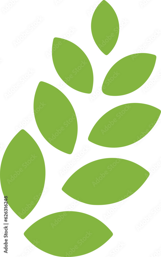 Fototapeta premium green leaves on white background