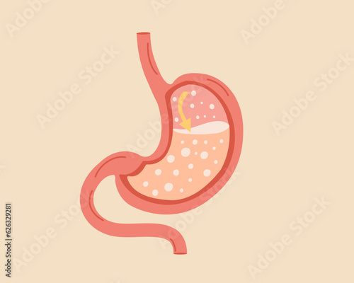 Gastritis and acid reflux, indigestion and stomach pain  Healthy food nutrition concept photo