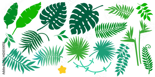 Vector set of different tropical plants  leaves and flower. Summer exotic elements for invitations  posters  backgrounds