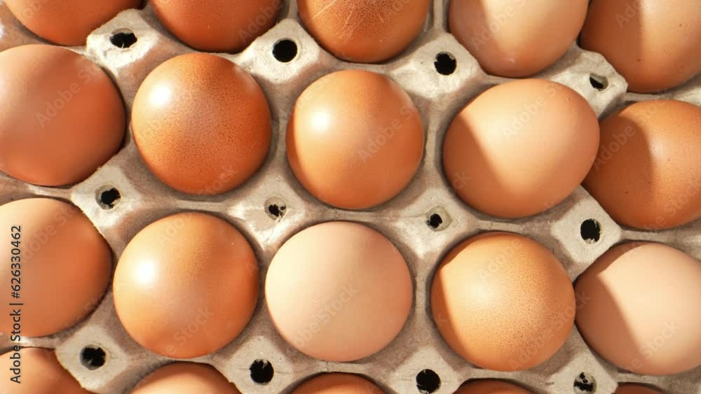 Farm-fresh eggs nestled in a rustic paper tray, embodying the essence of natural goodness. These wholesome gems promise culinary delights and inspire creativity in the kitchen. Eggs background.
Farm-fresh eggs nestled in a rustic paper tray, embodying the essence of natural goodness. These wholesome gems promise culinary delights and inspire creativity in the kitchen. Eggs background.