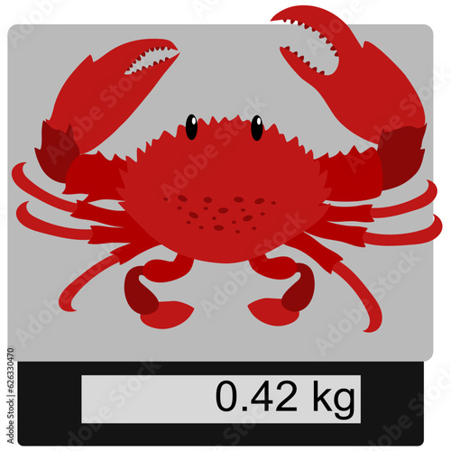 hand drawn vector illustration,isolated red crab on digital scale on white background.	