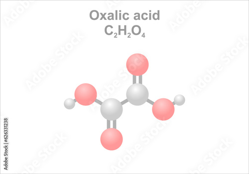 Simplified scheme of the oxalic acid molecule.
