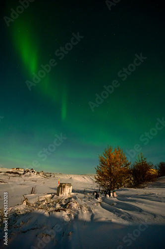 Aurora Borealis or Northern lights the amazing wonder of nature in the dramatic skies of Iceland. Night landscape with the green light and the white snow of winter