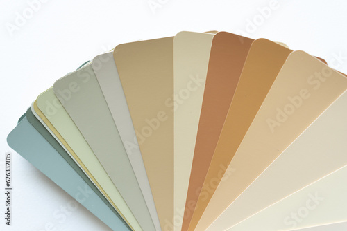 earthy harmony- assorted paint chip samples