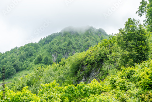 mountain landscape with green vegetation, rocks, hilltop in fog. Beautiful natural background