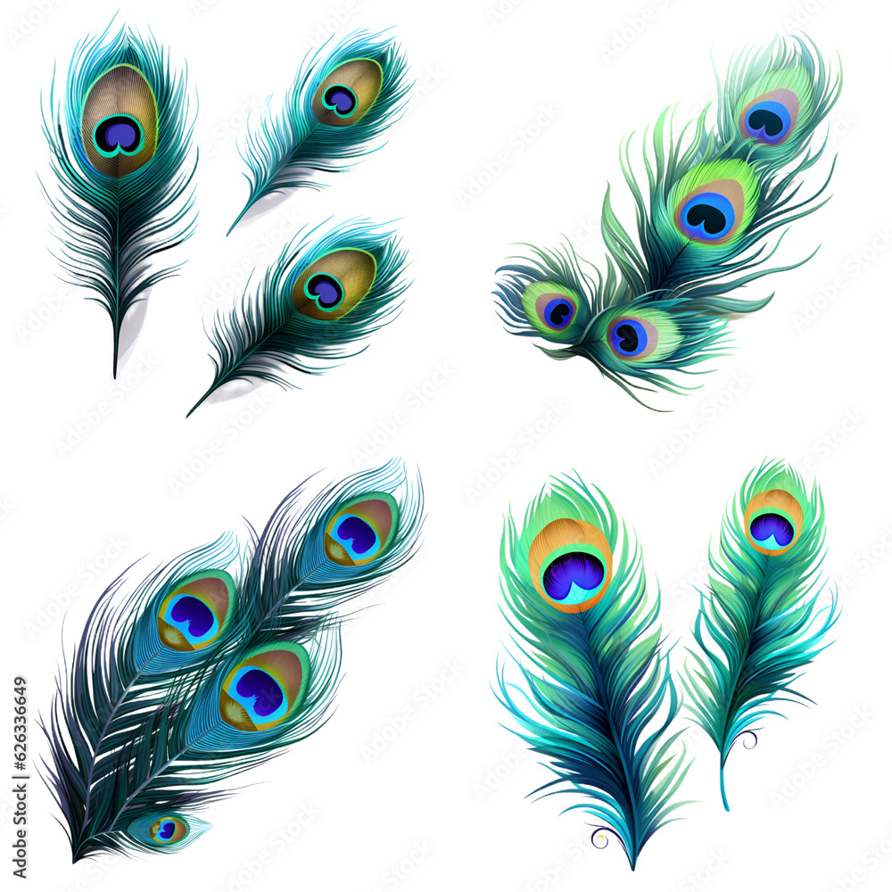 Obraz premium set of feathers