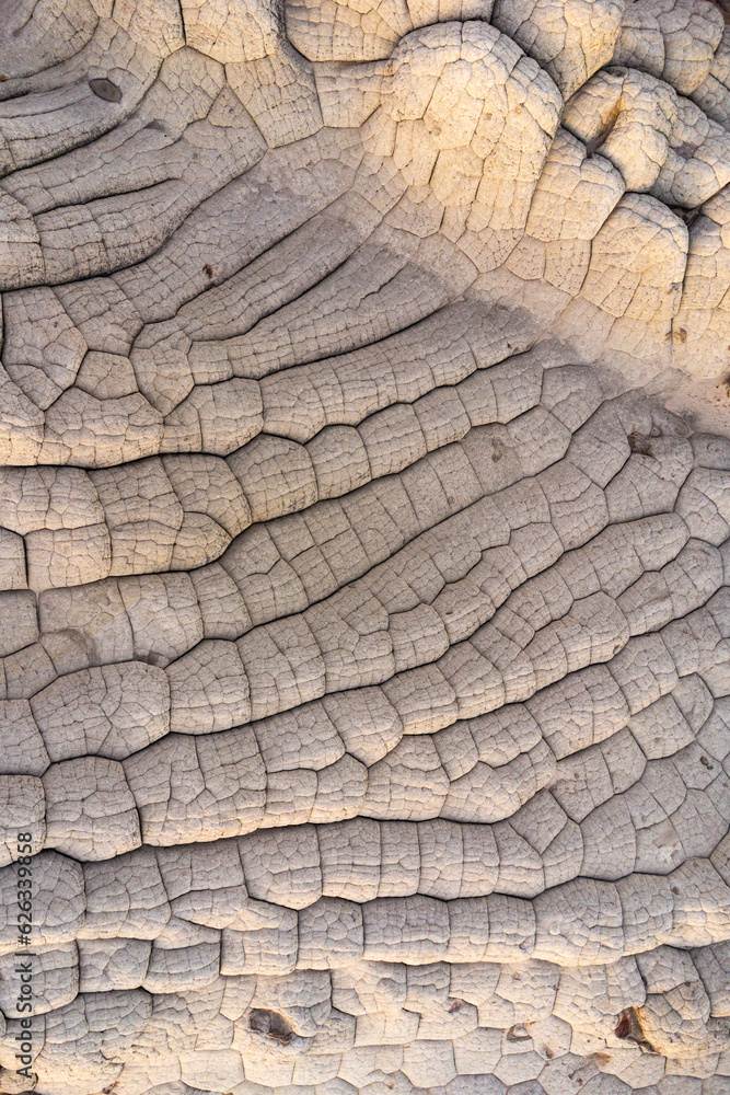 Rough texture of white stone cliffs in USA Rough texture of white stone cliffs in USA