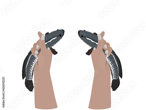 catch two fish with each hand.