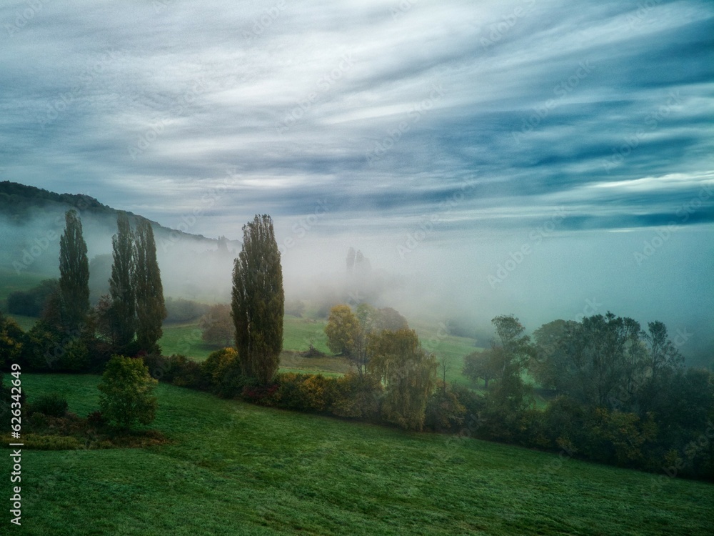 Misty valley in south Germany