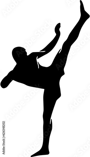 silhouette of a kick boxing