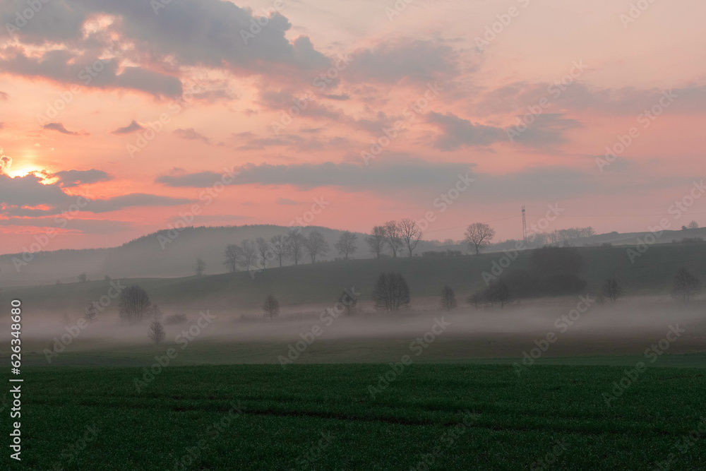 Fototapeta premium sunrise over the field