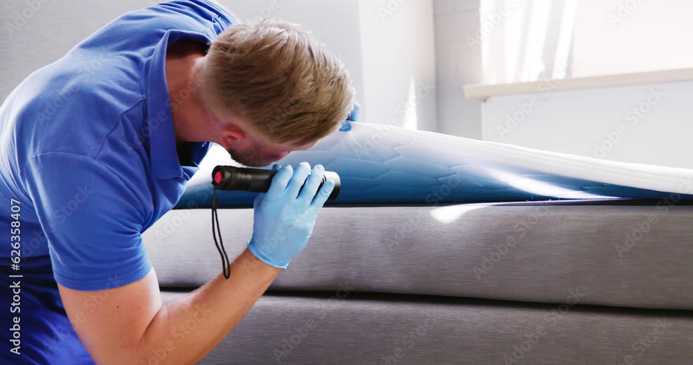 Obraz premium Bed Bug Infestation And Treatment Service