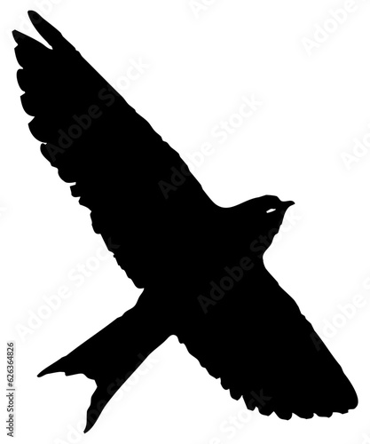 Hirondelle hirondo rustica et hirondelle de fenêtre en plein vol dans le ciel, vecteur noir fond transparent